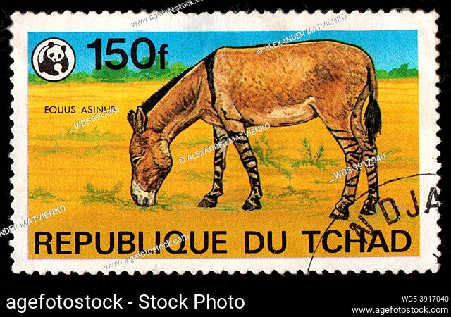 Chad - CIRCA 1982: Chad postage stamp featuring Equus asinus. Antelope in savannah on postage stamp. Vintage stamps isolated on black