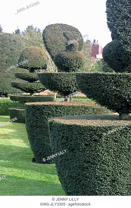 TOPIARY AT FELLEY PRIORY NOTTINGHAM