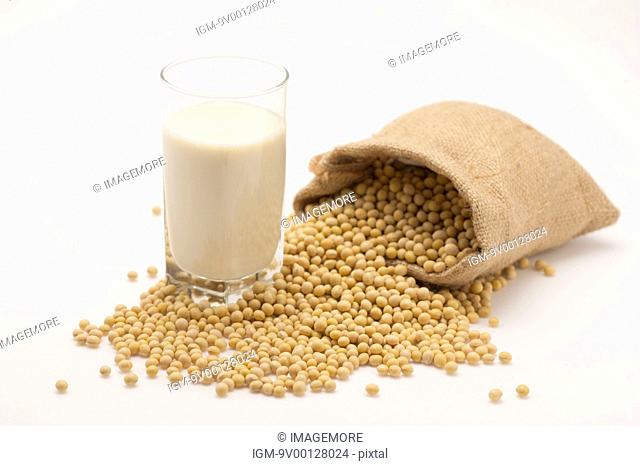 Soybean, Soy Milk