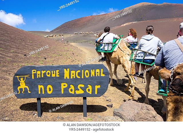 Tourists riding Camels in Timanfaya National Park, Lanzarote, Canary Islands, Spain