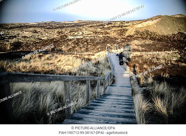 18 February 2019, Schleswig-Holstein, Sylt: A young man walks on a wooden footbridge through the dunes on the island of Sylt