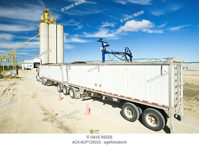 a moisture probe tests a load of oats in a farm truck at an inland grain terminal, near Rosser, Manitoba, Canada