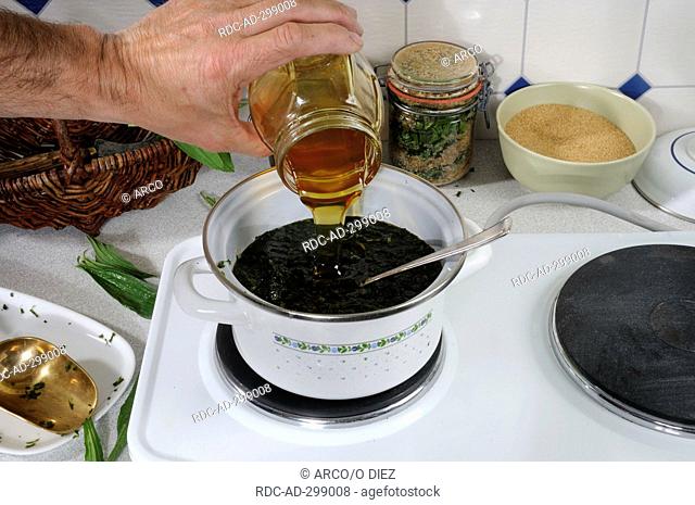 Producing English Plantain syrup / Plantago lanceolata / Narrow Leaf Plantain, sirup, pot, honey