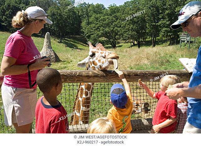 Battle Creek, Michigan - Children feed crackers to a giraffe in the Wild Africa exhibit at the Binder Park Zoo