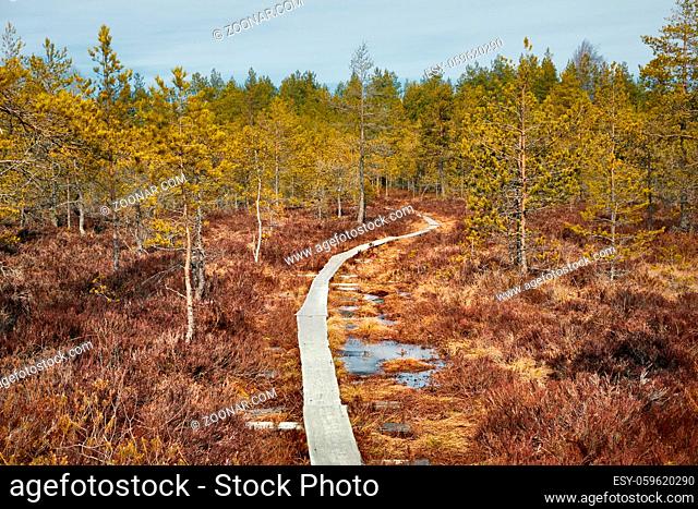 Lanscape in Finland natural area