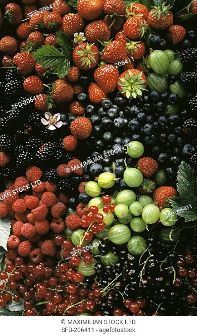 Several Assorted Berries
