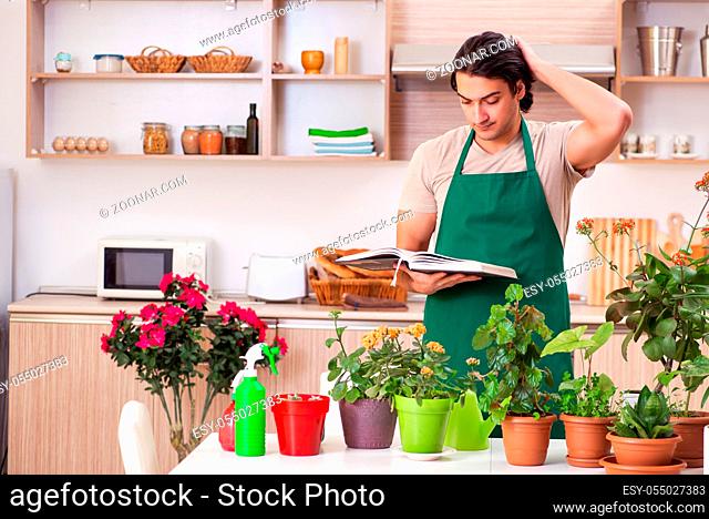 Young handsome man cultivating flowers at home