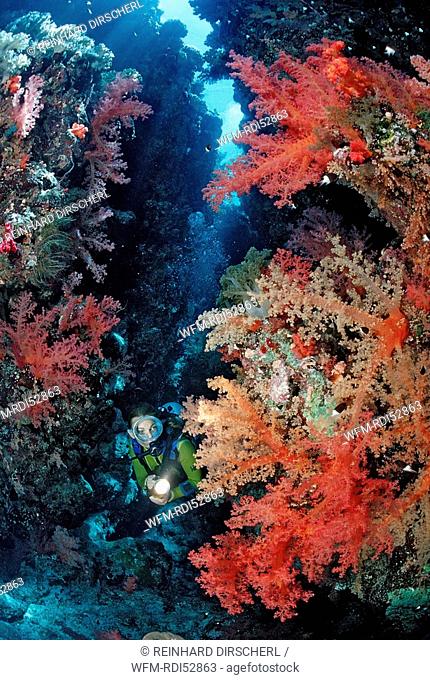 Scuba diver in underwater grotto, Zabargad Zabarghad Red Sea, Egypt