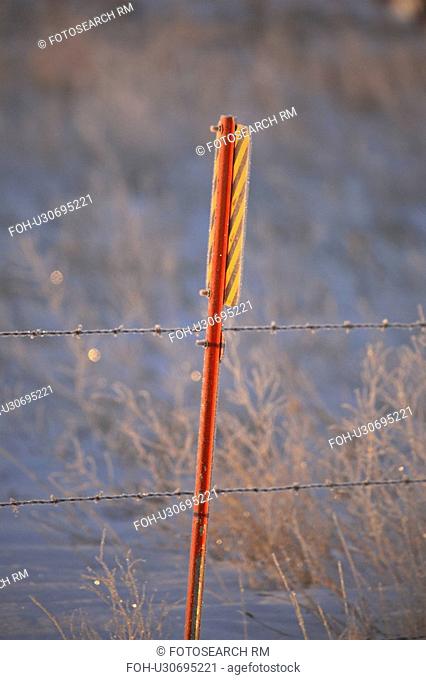 morning, sign, winter, wire, barbed, frost