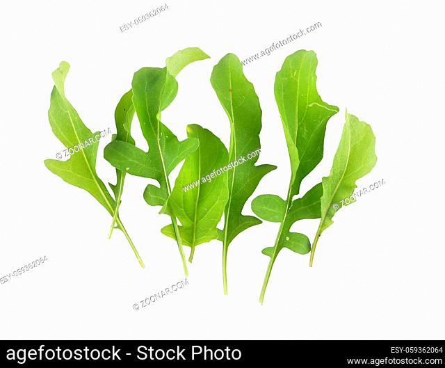 Rucola isoliert auf weiss - Roquette isolated on background