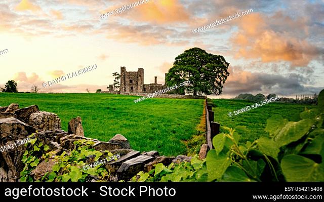 Ruins of old 12th century Bective Abbey, large green tree on side and surrounded by wall and green fields. Dramatic sky sunset. Count Meath, Ireland
