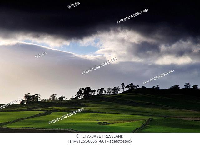 Stormclouds over hill, looking from Old Military Road, Bleaton Hill, Glenkilrie, Cairngorms N.P., Perthshire, Highlands, Scotland, March