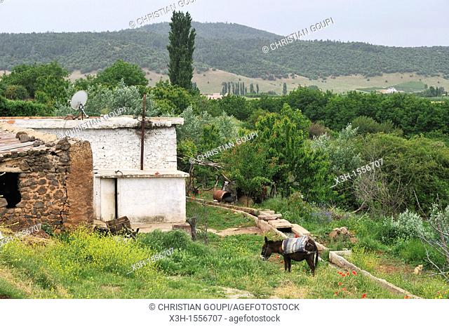 house in countryside around Azrou, Middle Atlas, Morocco, North Africa