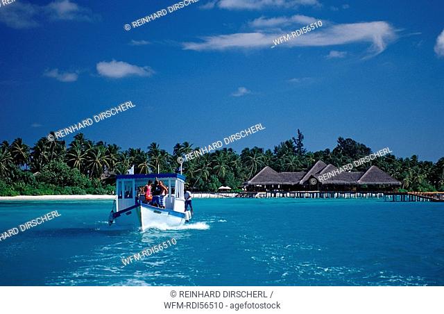 Trip with the Diving-Dhoni, Indian Ocean, Medhufushi, Meemu Atoll, Maldives