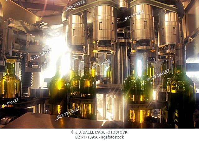 'Domaine de Tariquet Wines and Armagnac Estate': bottling machines able to make 60 000 bottles an hour, Gers, Midi-Pyrenees, France