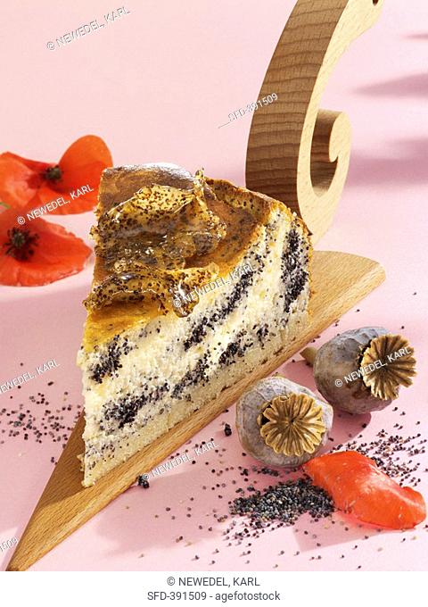 A piece of mascarpone and quark cake with poppy seeds