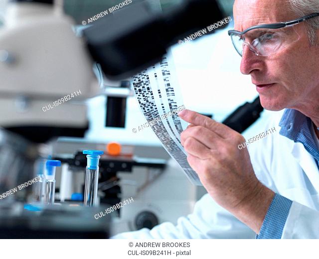 Researcher holding a DNA gel during a genetic experiment in a laboratory