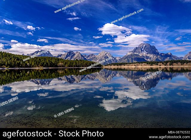 USA, Wyoming, Grand Teton National Park, Moose, Jackson Lake with Teton Range, view on Teton Park Road near Signal Mountain Lodge