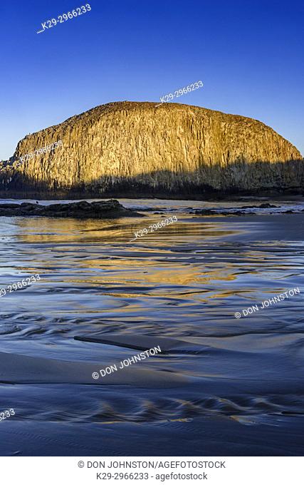 Seal Rock reflected in wet sand, Seal Rock State Recreation Site, Seal Rock, Oregon, USA