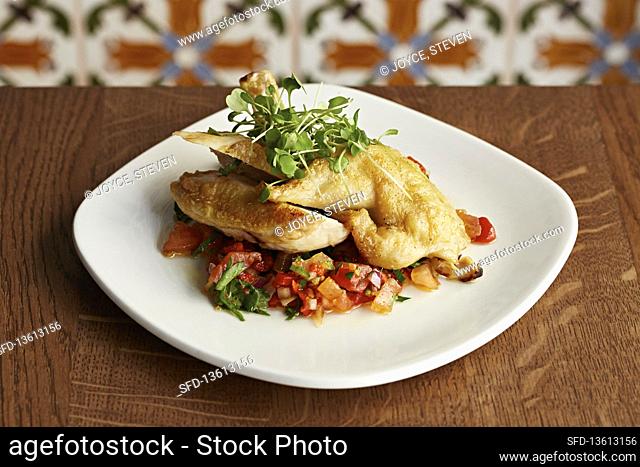 Chicken with tomato salasa