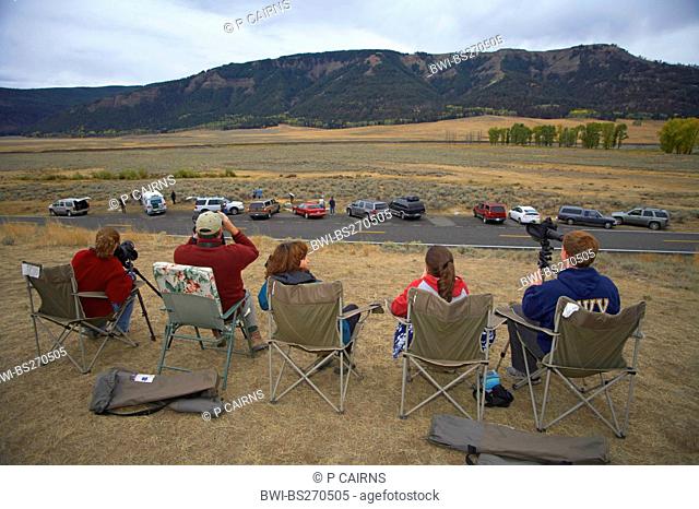 wolf watchers sitting in folding chairs looking out over a valley, USA, Yellowstone National Park, USA, Wyoming