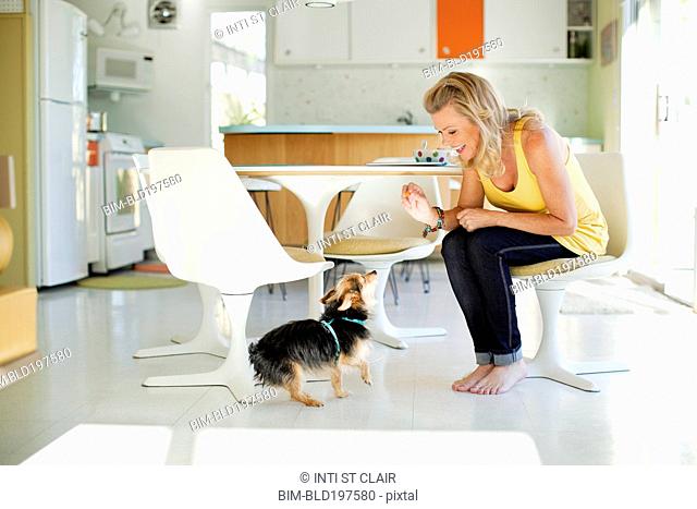 Caucasian woman giving dog treat in dining room