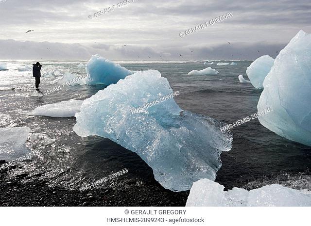 Iceland, Austurland, Jokulsarlon, Vatnajokull National Park, photographing man grounded icebergs on the black sand beach