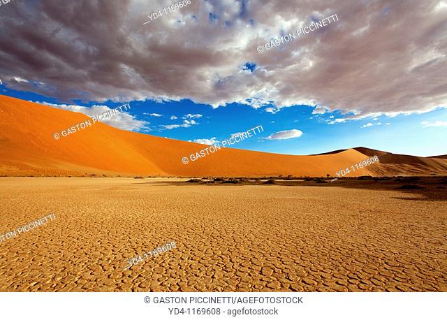 Hidden Vlei, Namib-Naukluft National park, Namib desert, Namibia
