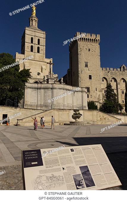 CATHEDRAL NOTRE DAME DES DOMS OF AVIGNON, BUILT IN THE 12TH CENTURY AND ENLARGED IN THE 14TH AND 17TH CENTURIES, MASTERPIECE OF PROVENCAL ROMANESQUE ART LISTED...