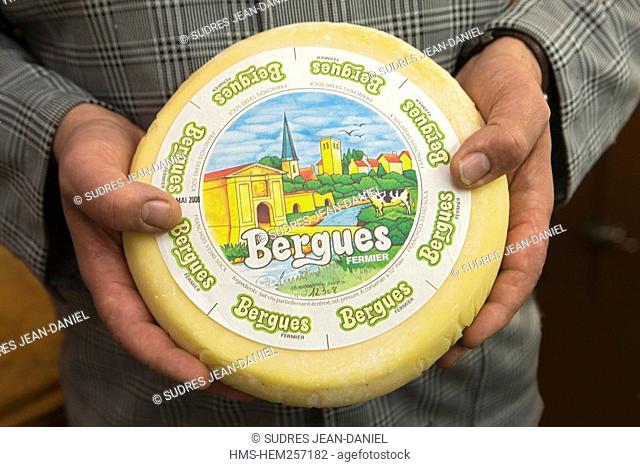 France, Nord, Bergues Cheese