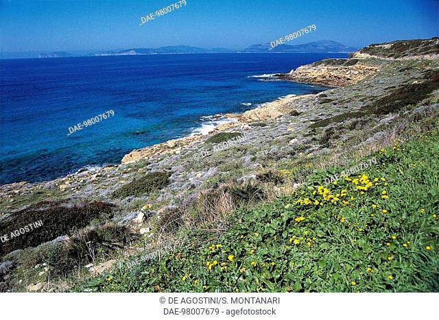 Stretch of coast between Bosa and Alghero, Sardinia, Italy