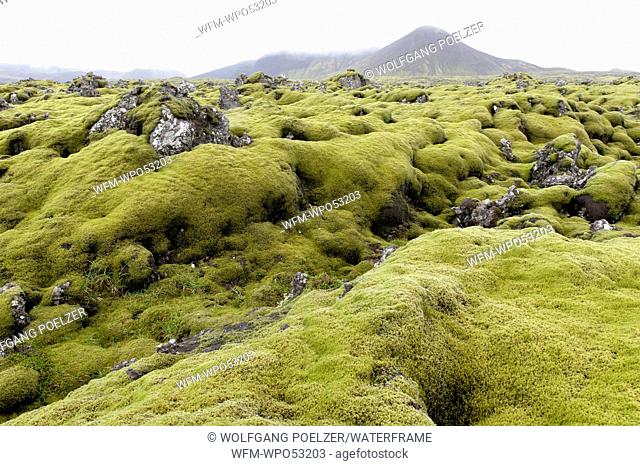 Grimsnes Volcanic Field, Reykanes Langjökull Area, Sudurland, Iceland