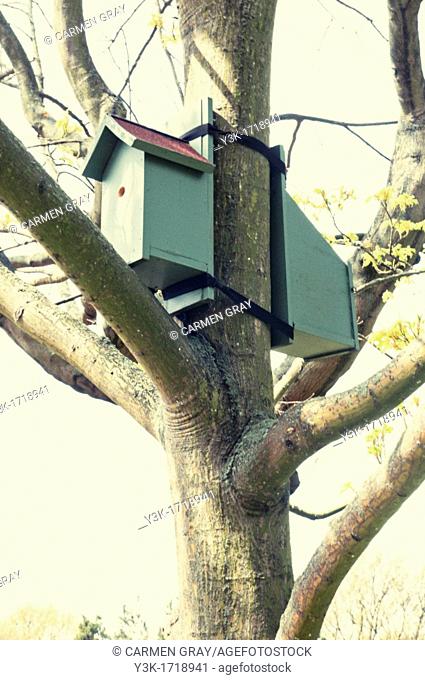 Bird house in a tree