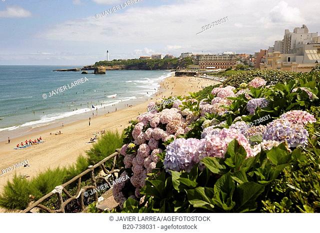 Biarritz. Aquitaine, Pyrenees-Atlantiques, France