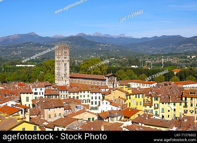 View from Torre Guinigi over Lucca, Province of Lucca, Toscana, Italy