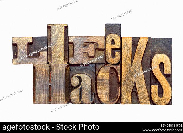 life hacks phrase made from mixed wooden letterpress type isolated on white