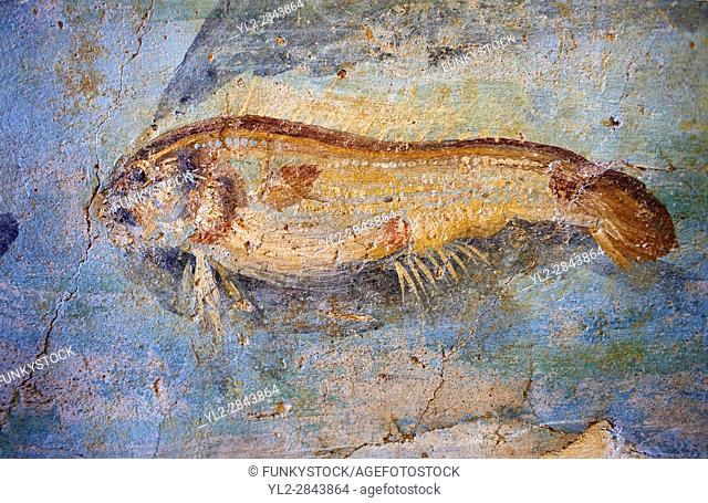 Roman Fresco detail of fishes marine life from the second quarter of the first century AD. (mosaico fauna marina da porto fluviale di san paolo)
