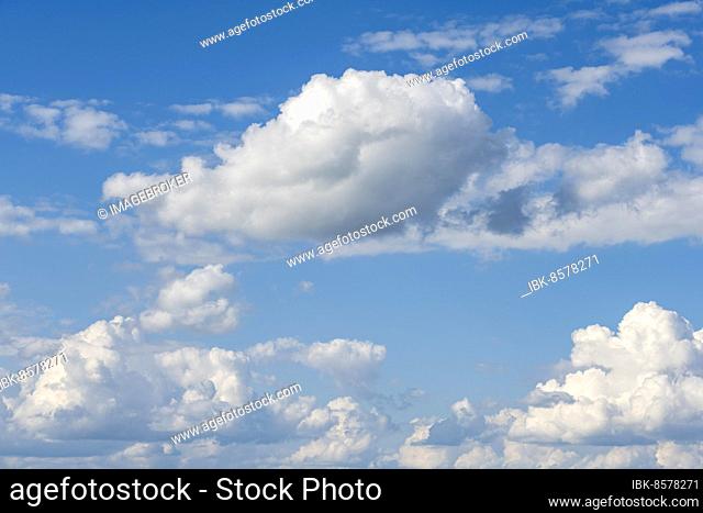 Cloud formation (cumulus), blue sky with low clouds, Baden-Württemberg, Germany, Europe