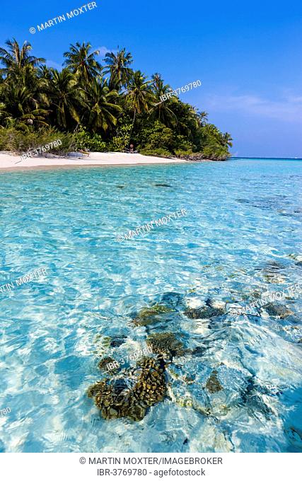Beach with palms, Embudu island, South Male Atoll, Maldives