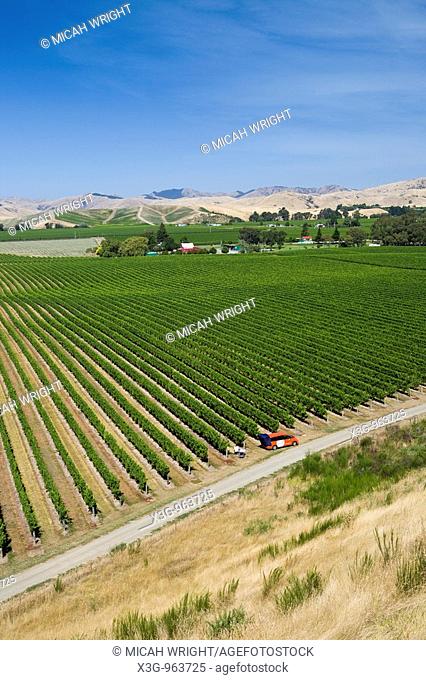 The northern area of the South Island has become a world famous location for wines: Marlborough and Brancott are two very known brands