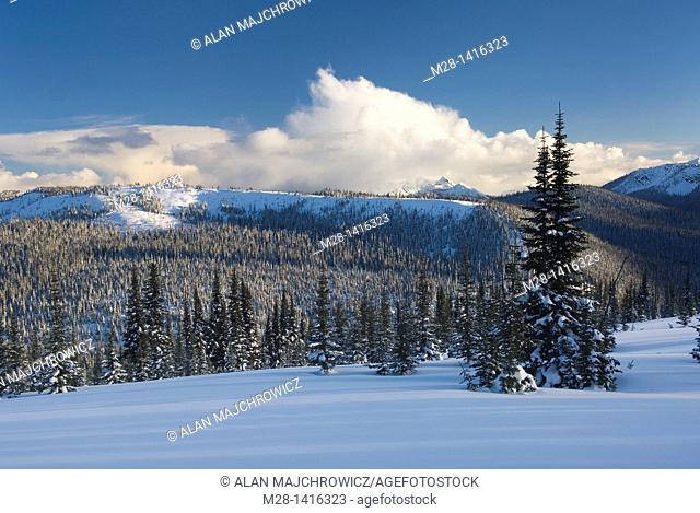 Clouds glowing in the light of a winter evening, Manning Provincial Park British Columbia Canada