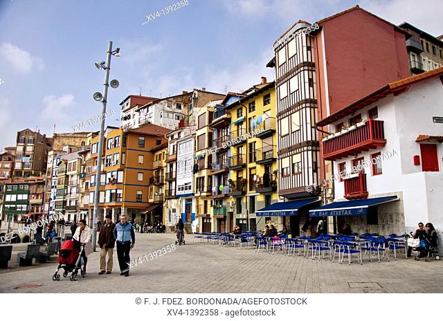 Bermeo Fishing port, Biscay, Basque country, Spain  Europe