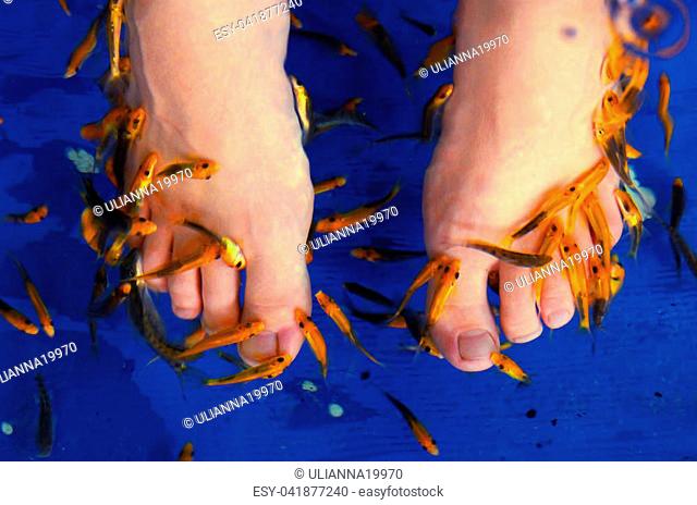 feet undergo peeling fish procedure in aquarium