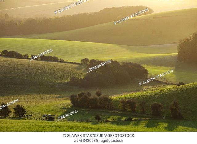 Autumn sunrise in South Downs National Park near Brighton, East Sussex, England