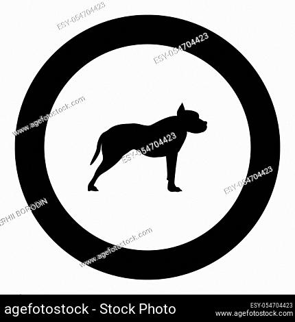 Pit bull terrier icon black color in round circle vector illustration