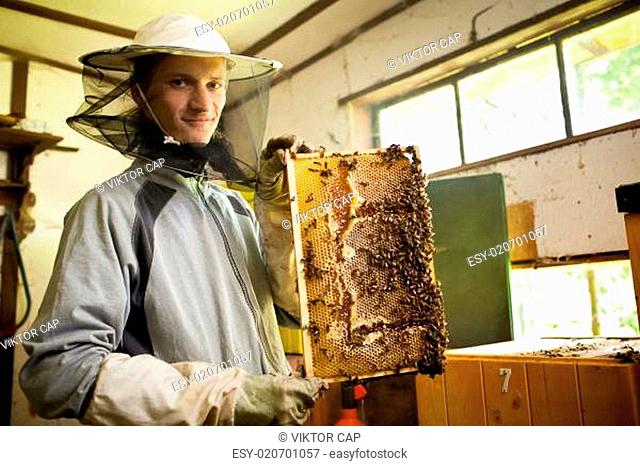 Beekeeper working in an apiary