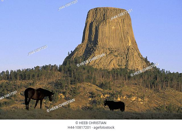 horses, rocks, cliffs, scenery, Devils Tower, national park, monument, Wyoming, USA, United States, America