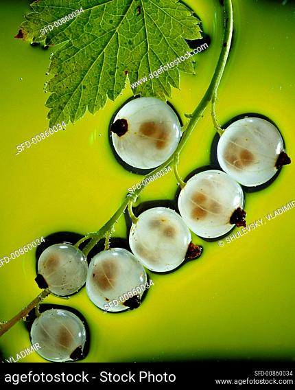 A bunch of white currants (close-up)