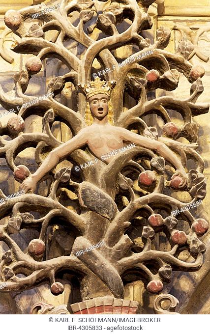 Tree of the knowledge of good and evil with snake 16th century, Halberstadt Cathedral or Church of St. Stephen and St. Sixtus, Halberstadt, Saxony-Anhalt