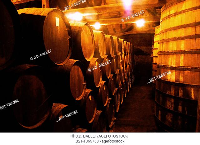 France, Midi Pyrénées, Gers, barrels where the Armagnac is aging at the Tariquet Wines and Armagnac Estate, near Eauze